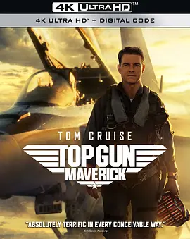 壮志凌云2：独行侠 4K Top Gun: Maverick (2022)/捍卫战士：独行侠(台) 2160p.BluRay.REMUX.HEVC.DTS-HD.MA.TrueHD.7.1.Atmos-FGT【74.44 GB】 1080p.BluRay.REMUX.AVC.DT-4K视界