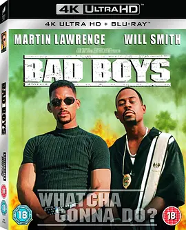 绝地战警 4K Bad Boys (1995) / 坏小子/重案梦幻组(港) / 绝地战警1 2160p.BluRay.REMUX.HEVC.DTS-HD.MA.TrueHD.7.1.Atmos-FGT【73.82 GB】-4K视界