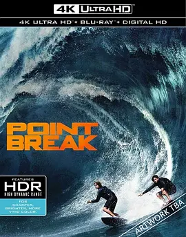 极盗者 4K Point Break (2015) / 新终极豪情 / 飙风特攻(台)/惊爆点 / 极限追捕(港) 2160p.BluRay.REMUX.HEVC.DTS-HD.MA.7.1-FGT【54.8GB】-4K视界