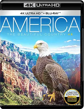 美利坚：美丽的国度 America - The Beautiful Country (2013)/ 2160p.BluRay.REMUX.HEVC.SDR.DTS-HD.MA.5.1-FGT-4K视界