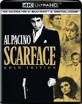 疤面煞星 4K Scarface (1983) / Scarface/疤脸人 / 疤面人 2160p.BluRay.REMUX.HEVC.DTS-X.7.1-FGT 【75.87GB】-4K视界