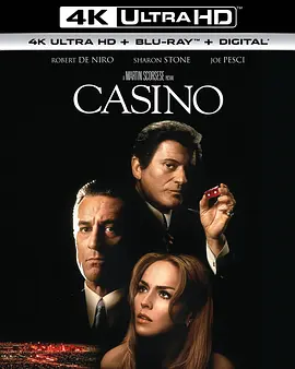 赌城风云 4K Casino (1995) / Casino/赌国风云 / 赌场 2160p.BluRay.REMUX.HEVC.DTS-X.7.1-FGT 【79.63 GB】-4K视界