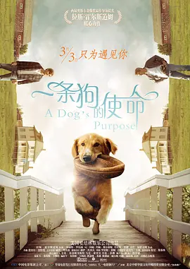 一条狗的使命 A Dog's Purpose (2017) / 再见亦是狗朋友(港)/为了与你相遇(台) 2160p.HQ.WEB-DL.H265.60fps.DDP5.1.2Audio-DreamHD 1080p.BluRay.AVC.DTS-HD.MA.5.1-FGT【37.-4K视界