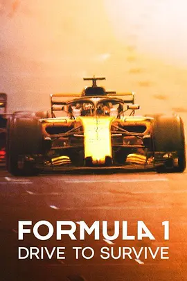 一级方程式：疾速争胜 第三季 Formula 1: Drive to Survive Season 3 (2021)/ 2160p.NF.HFR.WEB-DL.x265.10bit.HDR.DV.DDP5.1.Atmos【46.30 GB】【杜比视界】-4K视界