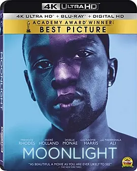 月光男孩 4K Moonlight (2016) / 月光 / 月光人生/月亮喜欢蓝(港) / 月光下的蓝色男孩(台) / 蓝色月光 2160p.BluRay.REMUX.HEVC.DTS-HD.MA.5.1-FGT【45.2GB】-4K视界