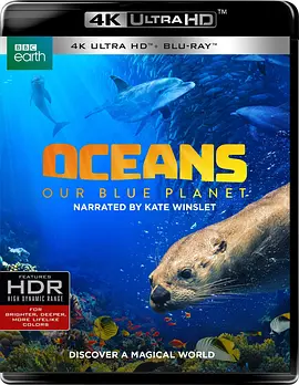 海洋：我们的蓝色星球 Oceans: Our Blue Planet (2018)/ 2160p.BluRay.REMUX.HEVC.DTS-HD.MA.5.1-FGT【17.2GB】-4K视界