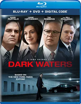 黑水 Dark Waters (2019) / The Lawyer Who Became DuPont's Worst Nightmare / 空转 / 黑暗水域/Dry Run / 演习 / 追击黑水真相(港) / 黑水风暴(台)  1080p.BluRay.REMUX.AV-4K视界