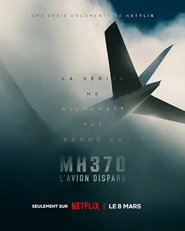 MH370：消失的航班 MH370: The Plane That Disappeared (2023)/马航370：消失的航班 2160p.NF.WEB-DL.x265.10bit.HDR.DDP5.1.Atmos-CEBEX-4K视界