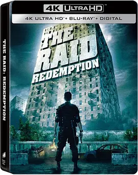 突袭 The Raid (2011) / 全面突袭(台) / The Raid: Redemption/突击死亡塔(港) / 突袭：救赎 2160p.UHD.Blu-ray.Remux.DoVi.HDR.HEVC.TrueHD.7.1.Atmos【66.48 GB】-4K视界