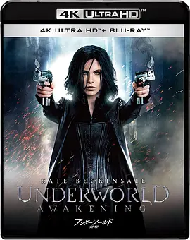 黑夜传说4：觉醒 Underworld: Awakening (2012) / 妖夜寻狼：血姬觉醒(港)/决战异世界：未来复苏3D(台) / Underworld 4: New Dawn 2160p.BluRay.REMUX.HEVC.DTS-HD.MA.TrueHD.7.1.A-4K视界