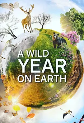 狂野地球 A Wild Year on Earth (2020)/地球上狂野一年-4K视界