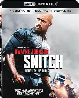 告密者 4K Snitch (2013) / 限时翻供(台)/毒火线(港) 2160p.BluRay.REMUX.HEVC.DTS-HD.MA.TrueHD.7.1.Atmos-FGT【50.6GB】-4K视界