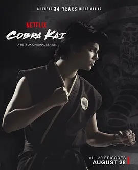 眼镜蛇 第二季 Cobra Kai Season 2 (2019)/ 2160p.NF.WEB-DL.x265.10bit.SDR.DDP5.1【26.41 GB】-4K视界