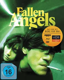 堕落天使 墮落天使 (1995)/Fallen Angels 2160p.BluRay.REMUX.HEVC.DTS-HD.MA.5.1-FGT【49.37 GB】-4K视界