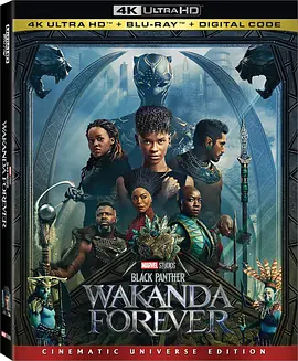 黑豹2 4K Black Panther: Wakanda Forever (2022) /台)/黑豹2：瓦干达万岁(港 2160p.BluRay.REMUX.HEVC.DTS-HD.MA.TrueHD.7.1.Atmos-FGT【60.01 GB】 1080p.BluRay.x-4K视界