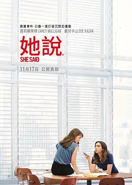 她说  She Said (2022)/她有话要说(台) 2160p.WEB-DL.x265.10bit.SDR.DD5.1-NAISU【11.25 GB】-4K视界