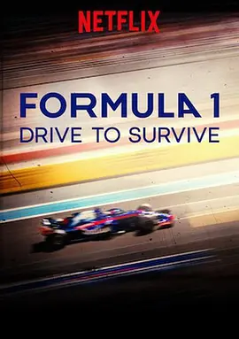 一级方程式：疾速争胜 Formula 1 第二季 Formula 1: Drive to Survive Season 2 (2020)/全10集 2160p.NF.HFR.WEB-DL.x265.10bit.HDR.DDP5.1.Atmos-AREY【41.44 GB】-4K视界