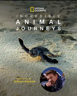 生灵奇旅 Incredible Animal Journeys (2023) / 动物的奇妙迁徙/不可思议的动物之旅 2160p.DSNP.WEB-DL.DDP5.1.DV.HDR.H.265-FLUX【32.6 GB】-4K视界