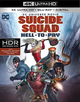 自杀小队：严厉惩罚 4K Suicide Squad: Hell to Pay (2018)/自杀小队：惨痛代价 2160p.BluRay.REMUX.HEVC.DTS-HD.5.1-FGT【33.1GB】-4K视界