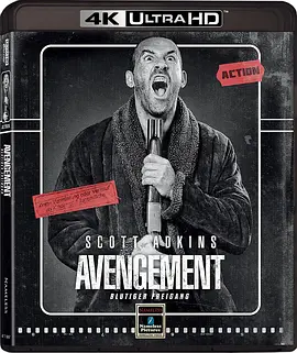 复仇者 Avengement (2019)/ 2160p.BluRay.REMUX.HEVC.DTS-HD.MA.5.1-FGT【46.37 GB】-4K视界