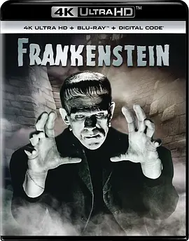 科学怪人 Frankenstein (1931) / 魔鬼博士/弗兰肯斯坦 2160p.BluRay.REMUX.HEVC.DTS-HD.MA.2.0-FGT【46.44 GB】-4K视界