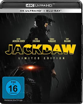 寒鸦 Jackdaw (2024)/ 2160p.GER.UHD.Blu-ray.HEVC.DTS-HD.MA 5.1【44.36GB】-4K视界