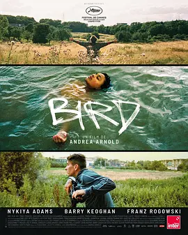 鸟 Bird (2024)/女孩与鸟(台) 2160p.MUBI.WEB-DL.DDP5.1.H.265-Kitsune【6.96GB】