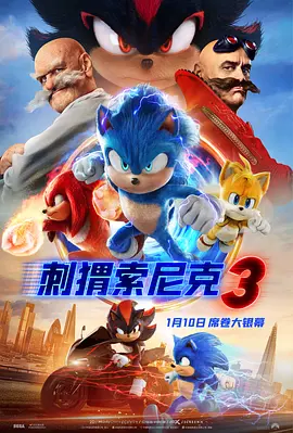 刺猬索尼克3 Sonic the Hedgehog 3 (2024) / 音速小子3(台)/超音鼠大电影3(港) 2160p.WEB-DL.DDP5.1.Atmos.SDR.H265-AOC【12.48 GB】