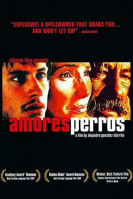 爱情是狗娘 Amores perros (2000)/ 2160p.WEB-DL.x265.10bit.HDR.DTS-HD.MA.5.1【30.95 GB】-4K视界