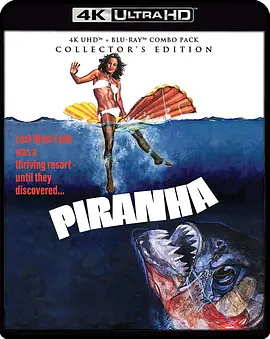 食人鱼 4K Piranha (2010)/ 2160p) 1080p.BluRay.REMUX.AVC.DTS-HD.MA.2.0-FGT【23.09 GB】-4K视界